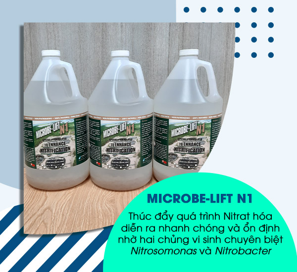 Sản phẩm vi sinh Microbe-Lift N1 được sản xuất 100% từ Mỹ, bởi Viện Nghiên Cứu Sinh Thái Hoa Kỳ