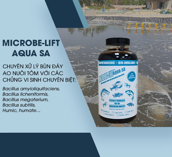 Men vi sinh khử bùn đáy Microbe-Lift AQUA SA