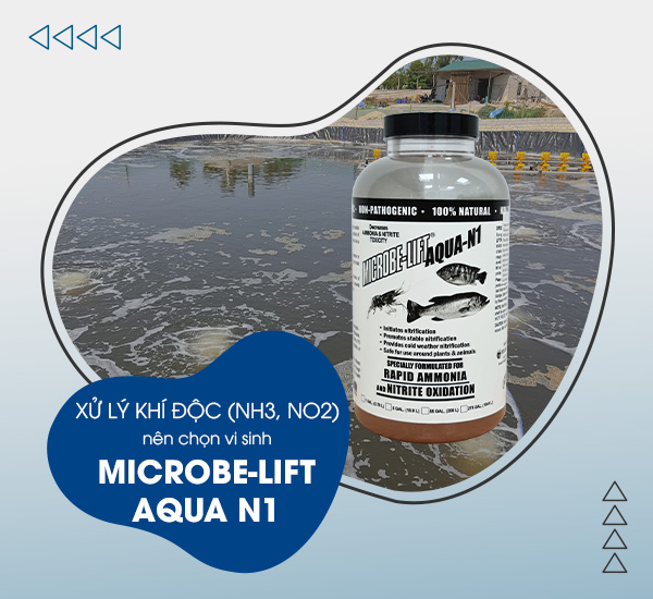 Men vi sinh Microbe-Lift AQUA N1 là dòng sản phẩm men vi sinh dạng lỏng