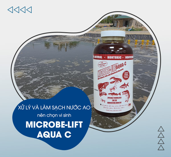 Men vi sinh Microbe-Lift giúp làm sạch nước và tăng cường khả năng xử lý khí độc trong ao nuôi tôm