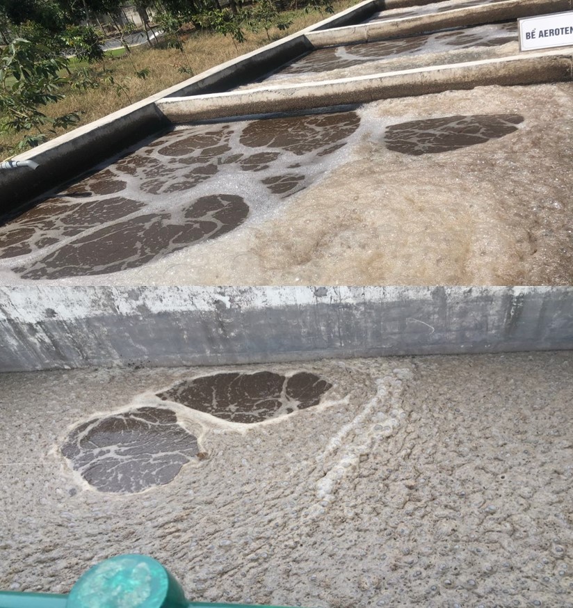 Bể sinh học bị sốc tải và nổi bọt