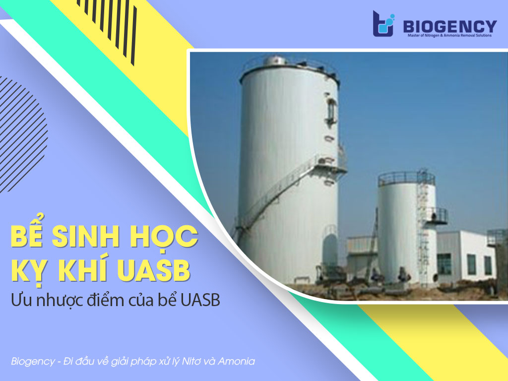 Bể sinh học kỵ khí UASB. 