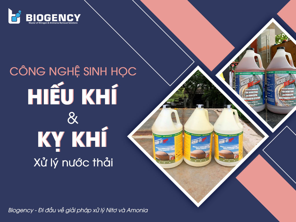 Áp dụng công nghệ sinh học hiếu khí và kỵ khí để xử lý nước thải