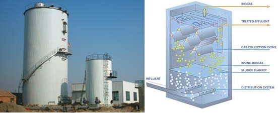 Bể sinh học kỵ khí UASB và cấu tạo của bể