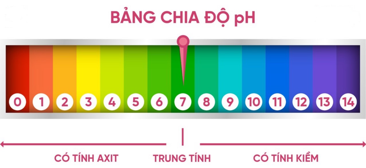 Độ kiềm giúp duy trình tính ổn định cho pH, tạo môi trường thuận lợi cho vi khuẩn Nitrat hóa sinh trưởng và phát triển