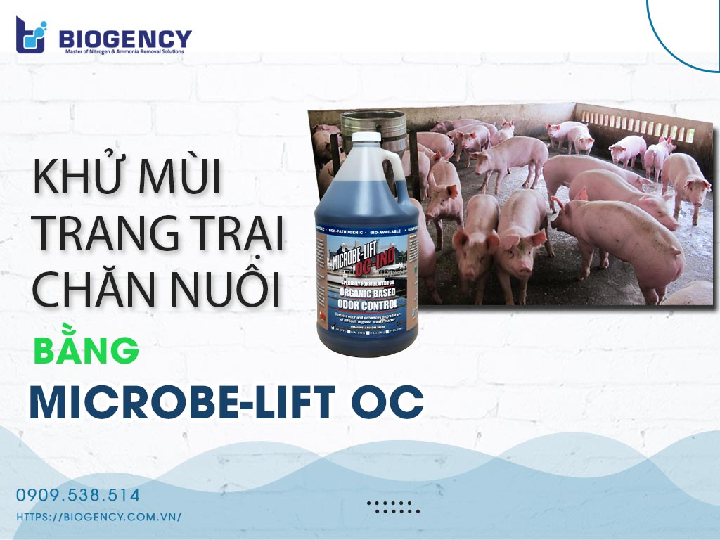 khử mùi chăn nuôi bằng microbe-lift oc