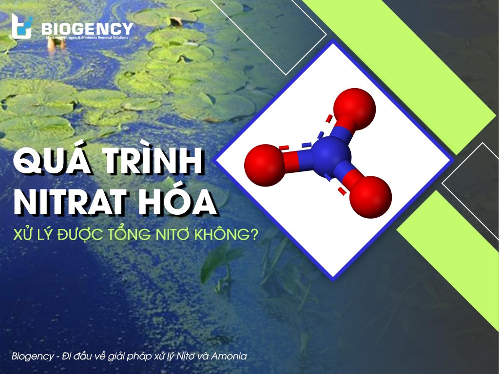 Quá trình Nitrat hóa có xử lý được tổng Nitơ hay không?