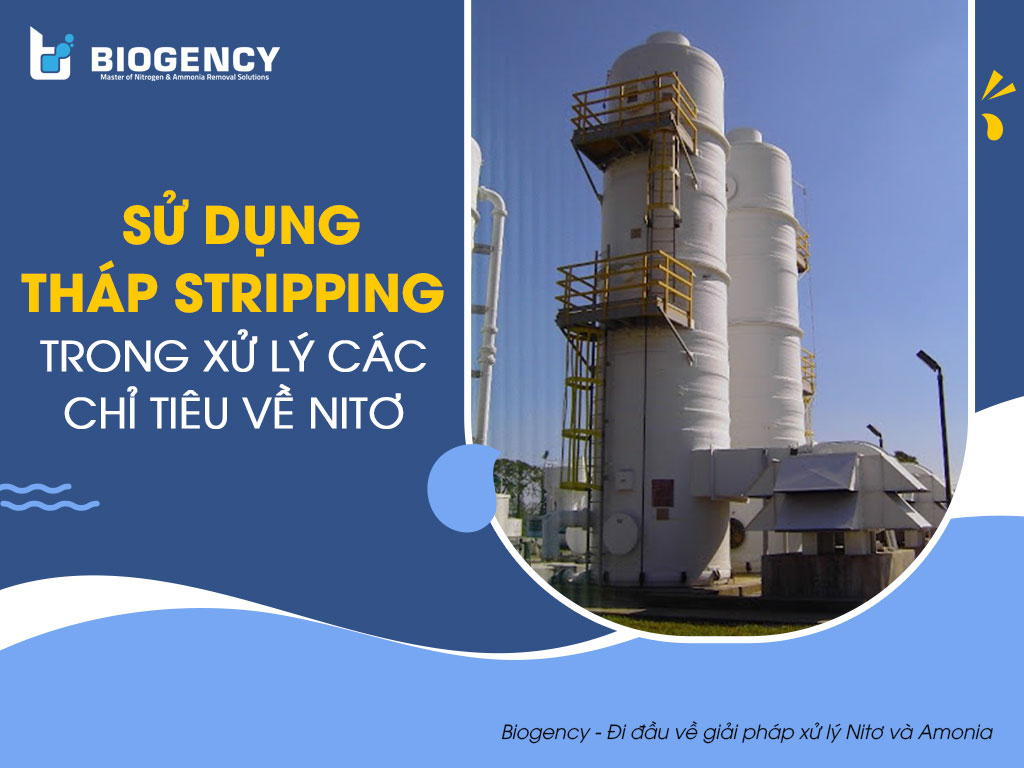 Sử dụng tháp Stripping trong xử lý các chỉ tiêu về Nitơ