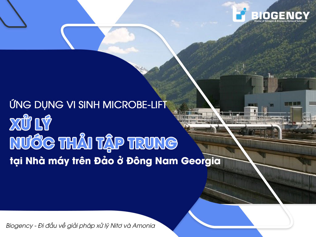 Ứng dụng vi sinh Microbe-Lift xử lý nước thải tập trung tại Nhà máy trên Đảo nghỉ dưỡng ở Đông Nam Georgia