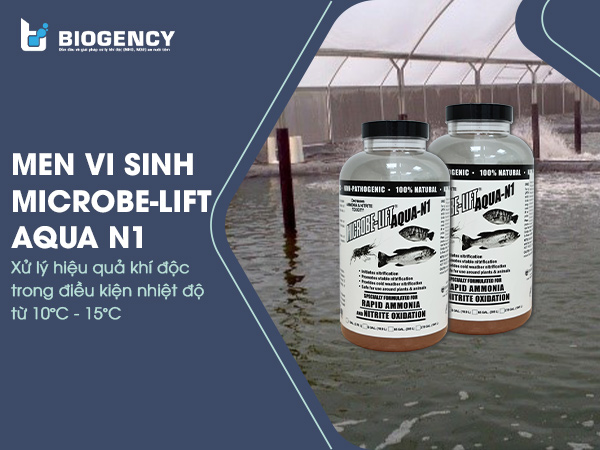 Microbe-Lift AQUA N1 là một trong số ít các dòng men vi sinh có khả năng hoạt động ở nhiệt độ thấp