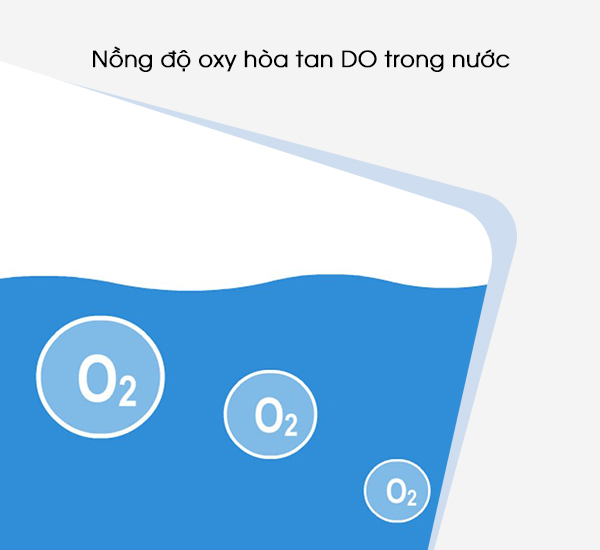Nồng độ oxy hòa tan DO trong nước