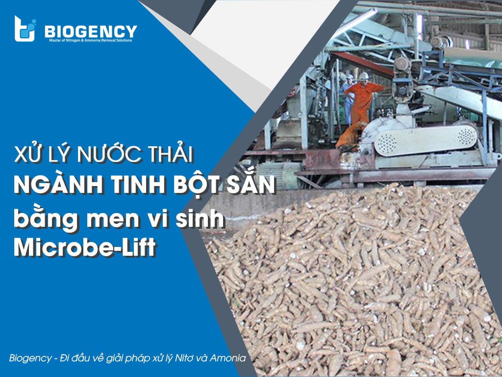 Xử lý nước thải ngành tinh bột sắn bằng men vi sinh Microbe-Lift