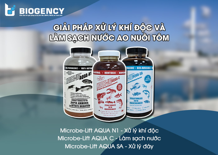 . Giải pháp Xử lý khí độc và Làm sạch nước ao nuôi tôm sử dụng Men vi sinh Microbe-Lift do Viện Nghiên Cứu Sinh Thái Hoa Kỳ (Ecological Laboratories) sản xuất