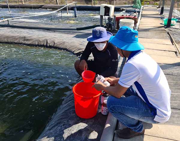 . Men vi sinh Microbe-Lift AQUA N1 được sản xuất dạng lỏng nhằm đảm bảo khả năng hoạt động tối ưu nhất cho Nitrosomonas và Nitrobacter