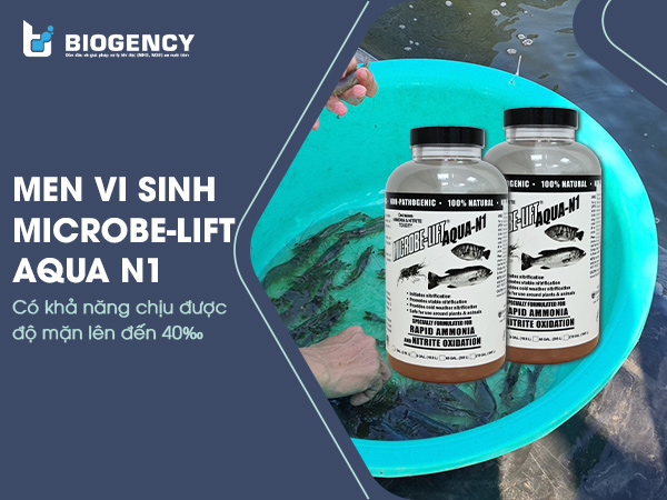 Hiệu quả của men vi sinh Microbe-Lift AQUA N1 khi chịu được độ mặn của nước lên đến 40‰.
