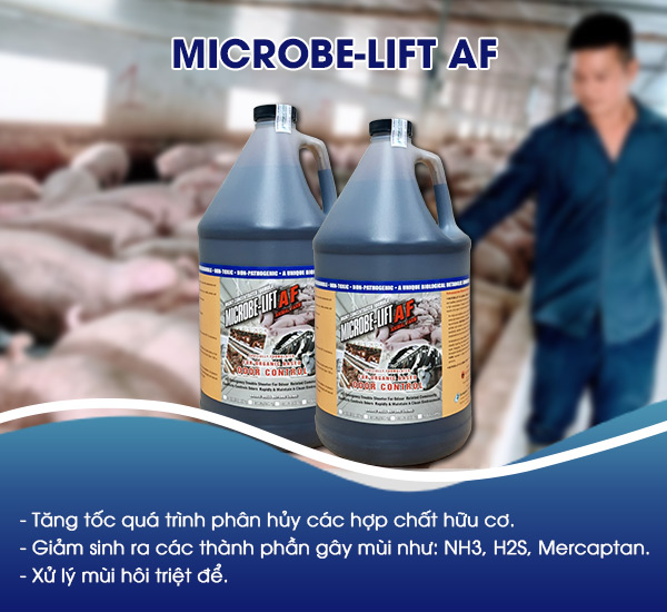 Men vi sinh Microbe-Lift AF khử mùi hôi chuồng trại và nhà chứa phân hiệu quả.