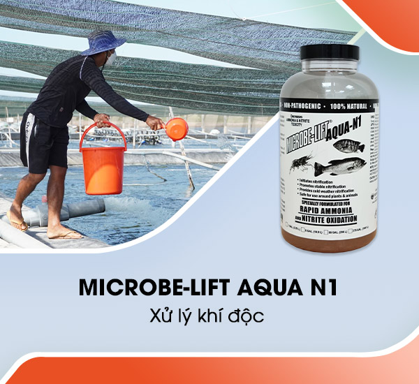 . Tạt men vi sinh Microbe-Lift AQUA N1 xử lý khí độc xuống ao