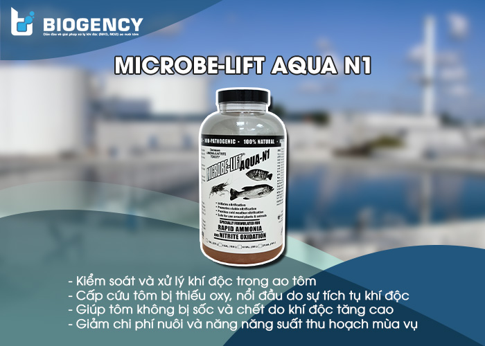 . Men vi sinh Microbe-Lift AQUA N1 dẫn đầu về hiệu quả xử lý khí độc