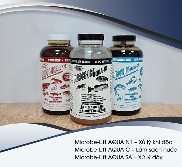 Men vi sinh Microbe-Lift dùng trong xử lý nước ao nuôi tôm được nhập khẩu trực tiếp từ Viện Nghiên Cứu Sinh Thái Hoa Kỳ (Ecological Laboratories).