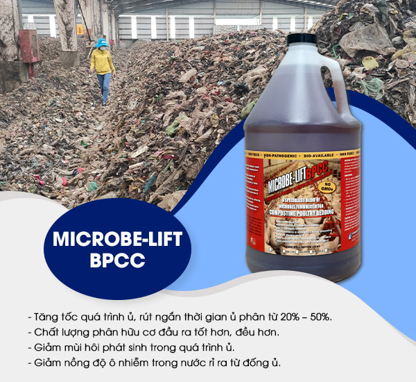 Kiểm tra chất lượng phân ủ bằng men vi sinh Microbe-Lift BPCC.