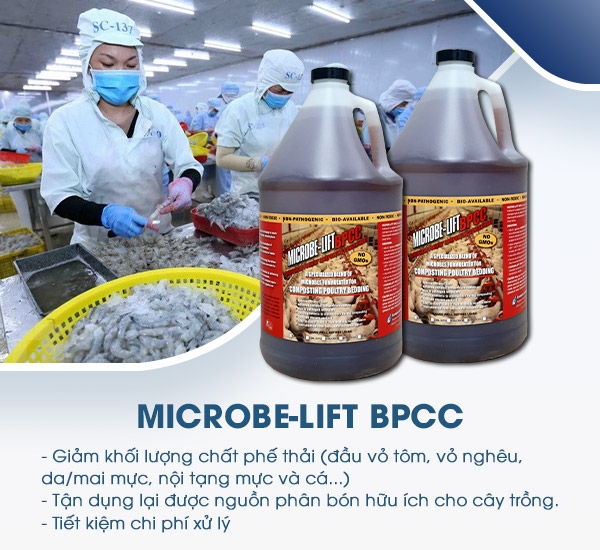 Men vi sinh Microbe-Lift BPCC chứa các chủng vi sinh chuyên biệt, sử dụng như chất xúc tác để thúc đẩy quá trình ủ phân diễn ra nhanh hơn, chất lượng phân được đảm bảo hơn