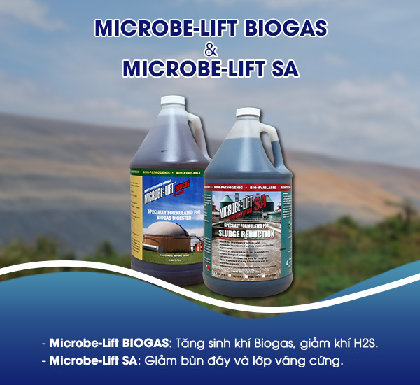 Men vi sinh Microbe-Lift giúp xử lý chất thải hiệu quả và tăng hiệu suất sinh ra khí Biogas