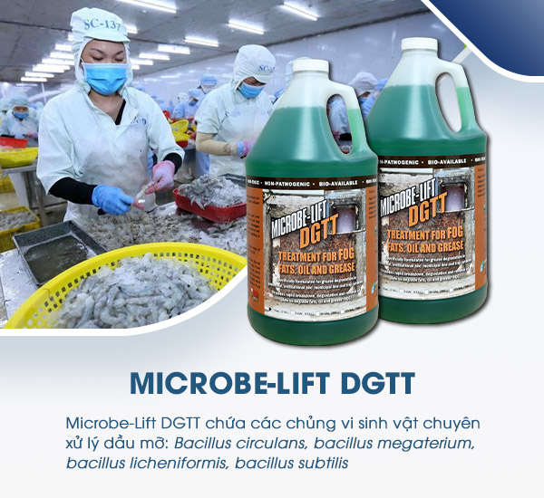 . Men vi sinh Microbe-Lift DGTT hiệu quả trong việc hóa lỏng và phân hủy dầu mỡ