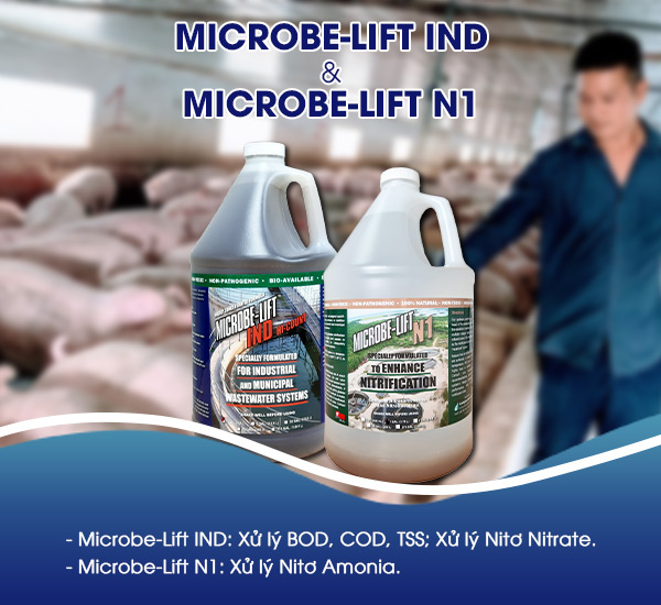 Men vi sinh Microbe-Lift giúp xử lý hiệu quả các chỉ tiêu ô nhiễm