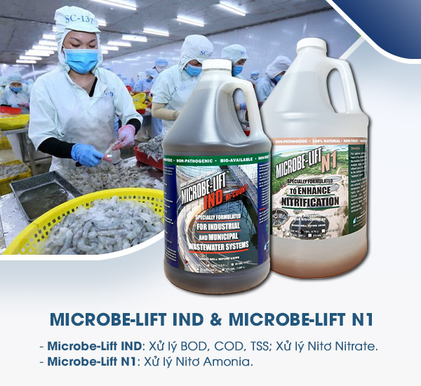 Men vi sinh Microbe-Lift giúp xử lý hiệu quả các chỉ tiêu ô nhiễm