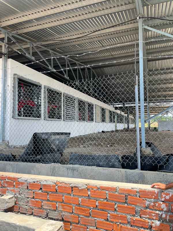 Quạt hút mùi đặt sau dãy chuồng heo nhằm giảm mùi mốc lên tại khu vực nuôi nhưng lại phát sinh nhiều mùi hôi khó chịu