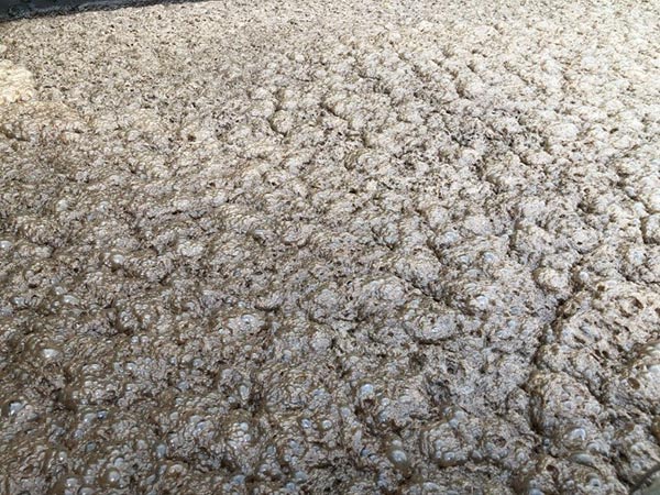 Bọt sinh ra trong quá trình xử lý nước thải tại bể sinh học thiếu khí (anoxic).