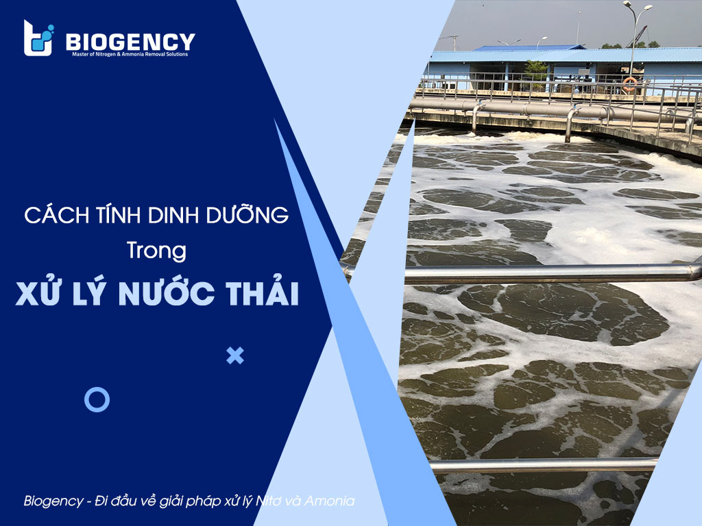 Cách tính dinh dưỡng trong xử lý nước thải
