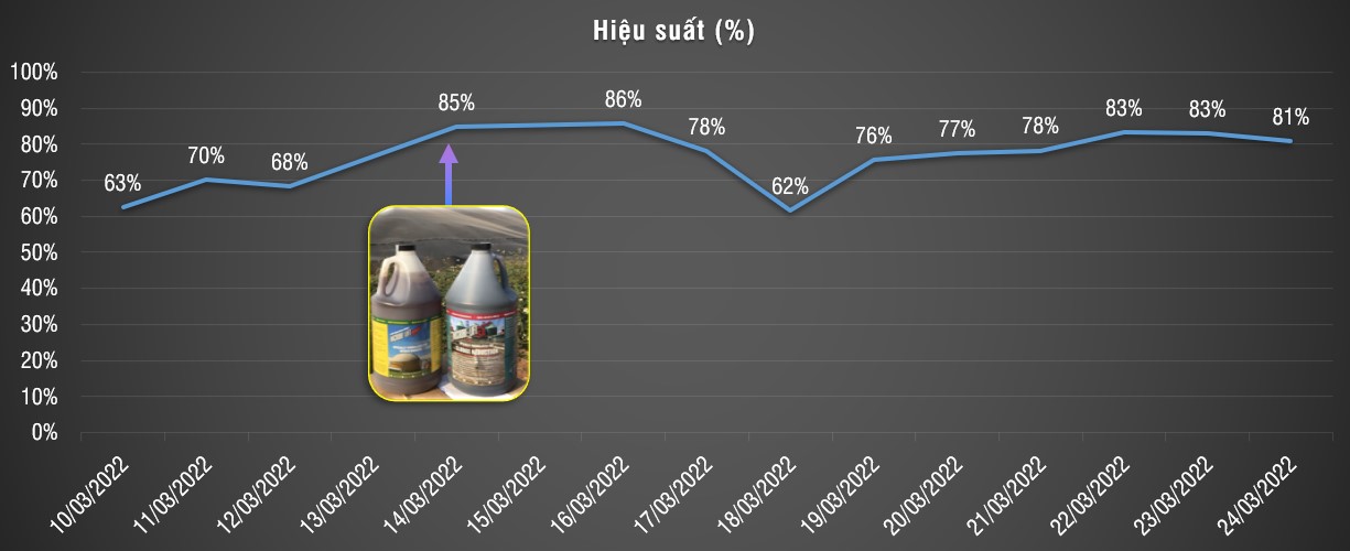 Đồ thị thể hiện hiệu suất xử lý COD vào và ra Hầm Biogas 1 (tính theo %).
