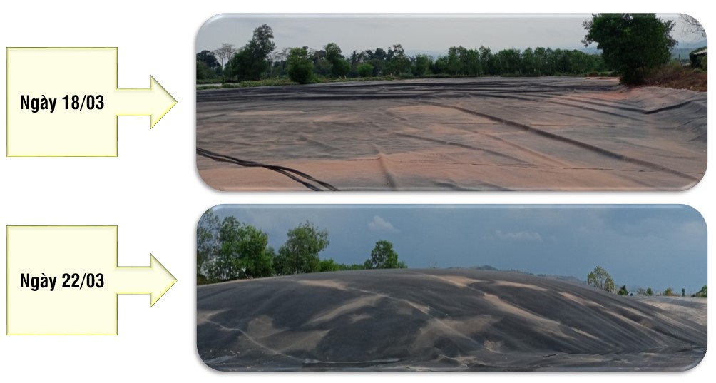 Hình ảnh trước và sau khi sử dụng vi sinh Microbe-Lift ở Hầm Biogas 2.