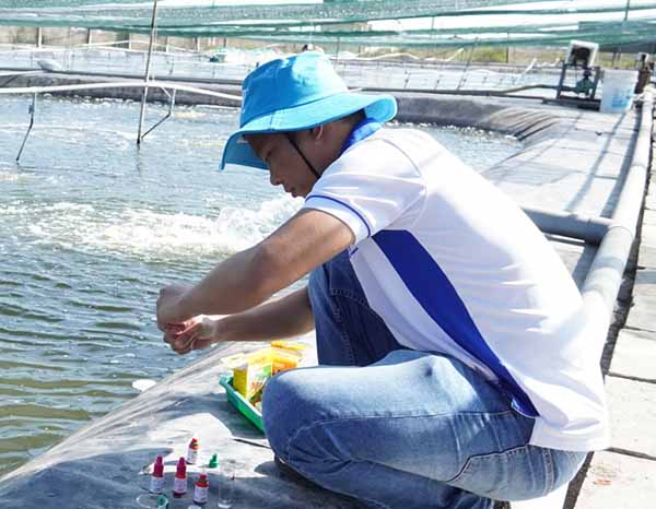 . Kiểm tra nồng độ NH3, NO2 và NO3 để đánh giá hiệu quả của vi sinh Microbe-Lift AQUA N1 xử lý khí độc ao nuôi tôm