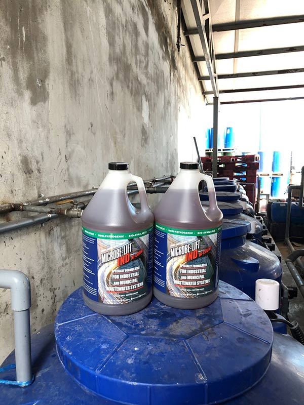Men vi sinh nhập khẩu từ Mỹ Microbe-Lift IND chứa các chủng vi sinh Clostridium sp., Pseudomonas sp.