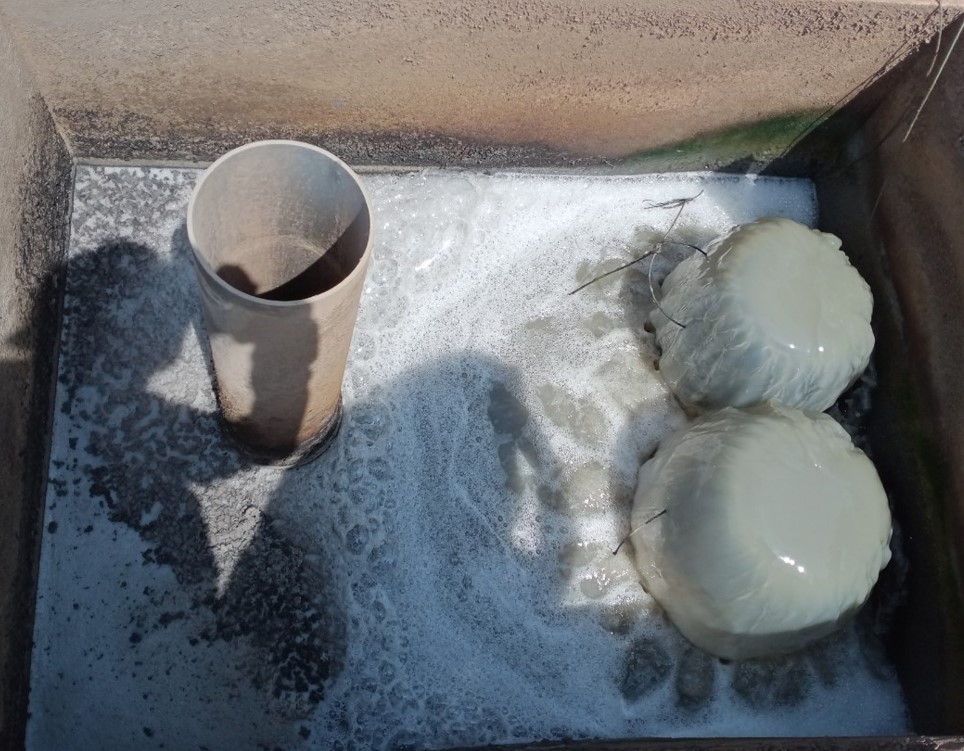 Nước thải đầu ra sau hầm Biogas 3