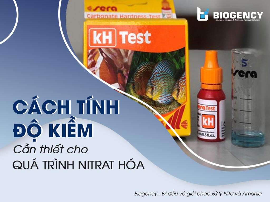 Cách tính độ kiềm cần thiết cho quá trình Nitrat hóa