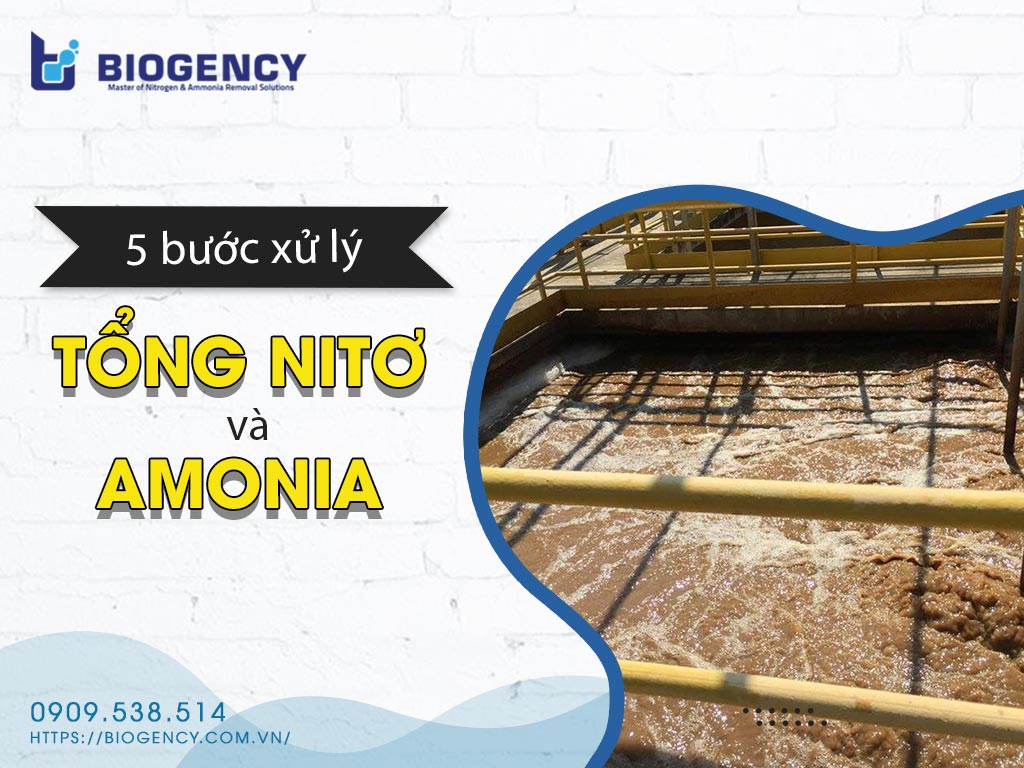 Xử lý tổng nitơ và amonia