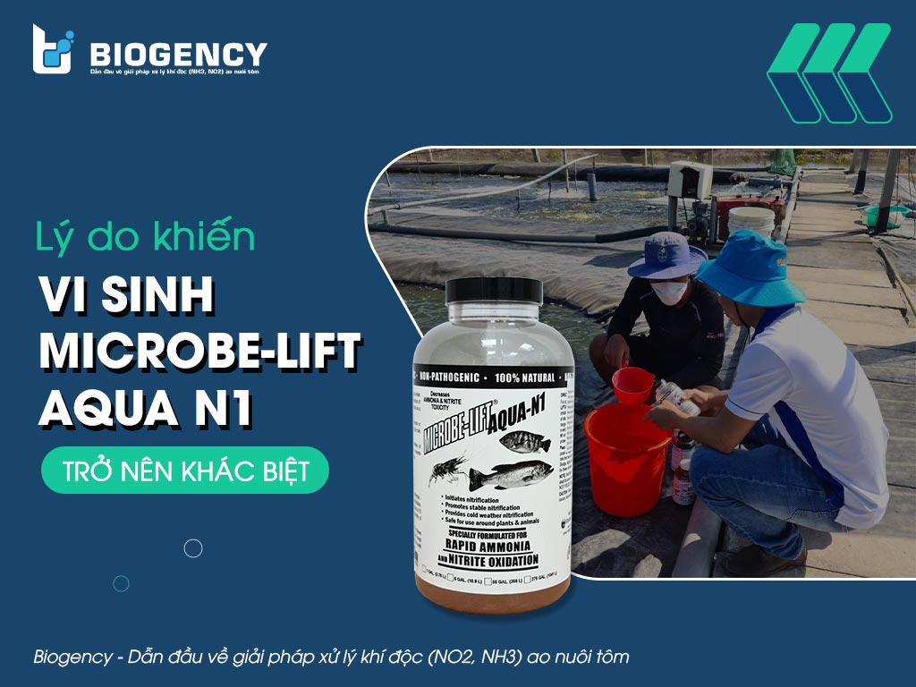Lý do khiến men vi sinh Microbe-Lift AQUA N1 trở nên khác biệt