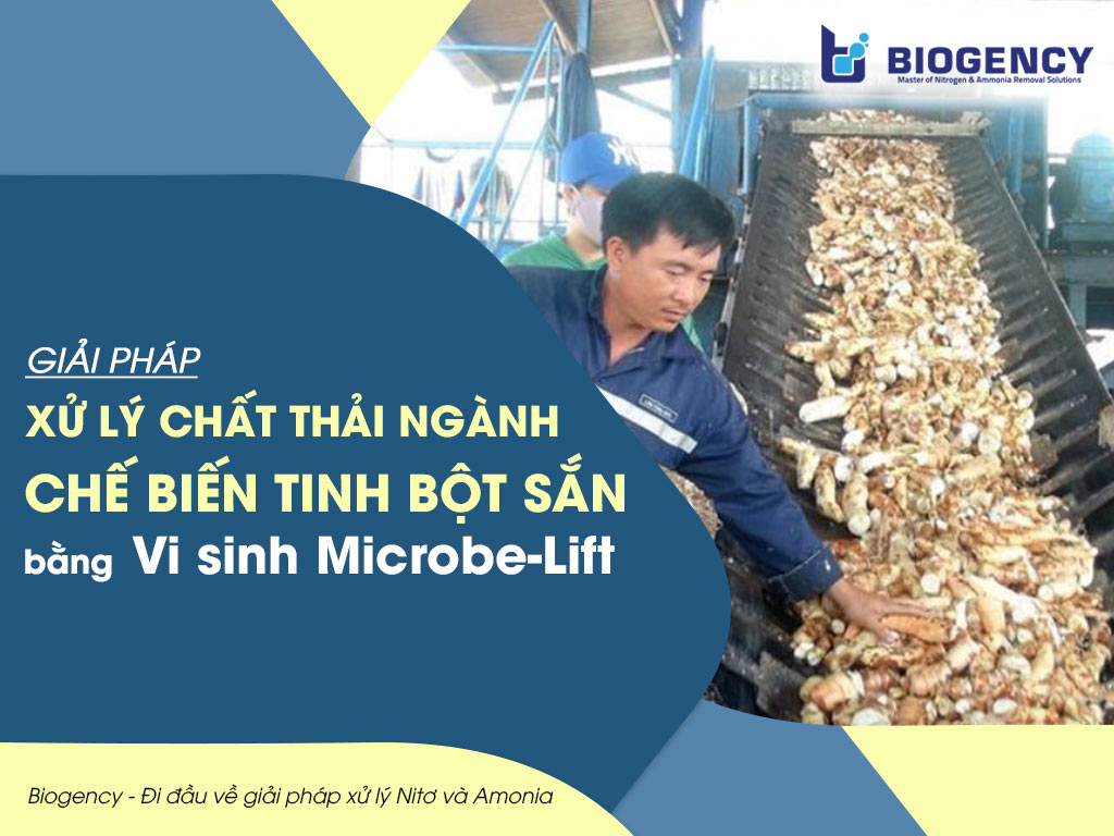 Giải pháp Xử lý chất thải Ngành chế biến tinh bột sắn bằng Vi sinh Microbe-Lift