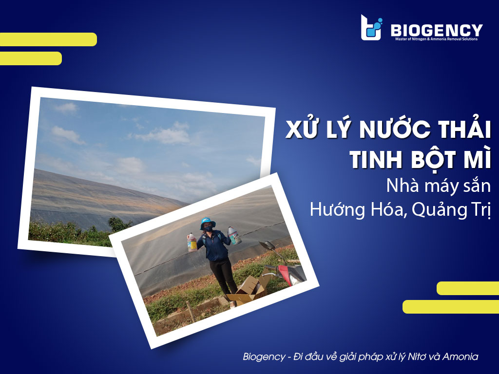 Xử lý nước thải tinh bột mì – Phát huy tối đa sức mạnh của hầm Biogas tại Nhà máy sắn Hướng Hóa, Quảng Trị