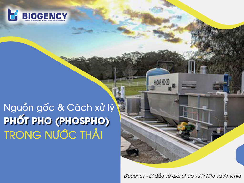 Nguồn gốc và Cách xử lý Phốt pho (Phospho) trong nước thải