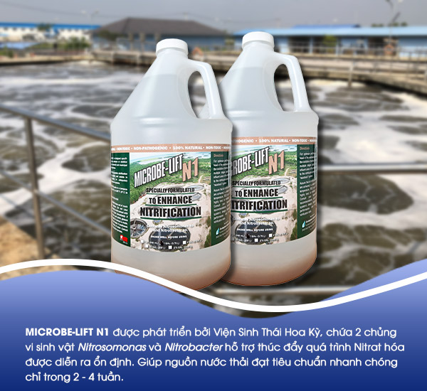 Men vi sinh Microbe-Lift N1 chứa cả 2 chủng vi sinh vật xử lý nước thải chứa Amonia, Nitơ: Nitrosomonas và Nitrobacter.