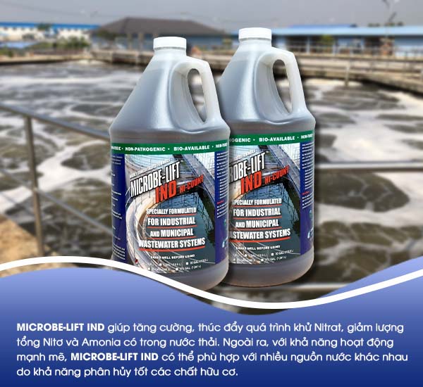 Men vi sinh Microbe-Lift IND chứa chủng vi khuẩn Pseudomonas hiệu quả cho quá trình khử Nitrat của hệ thống nước thải.