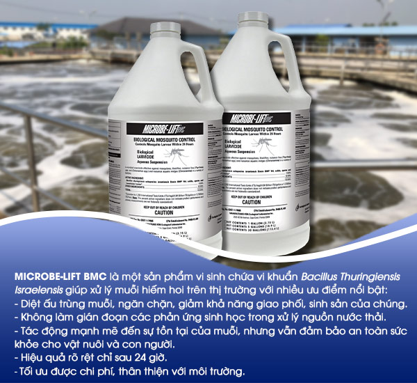 Men vi sinh Microbe-Lift BMC chứa chủng vi khuẩn Bacillus Thuringiensis Israelensis giúp xử lý ruồi, muỗi hiệu quả