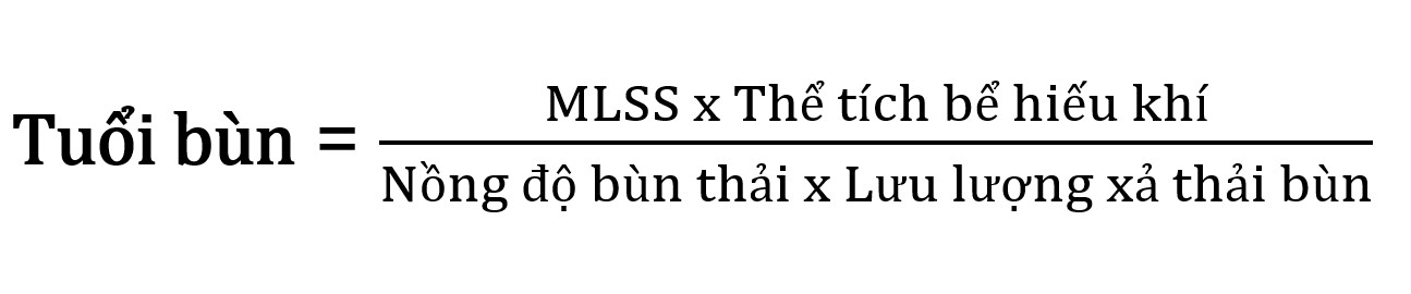Công thứ tính tuổi bùn