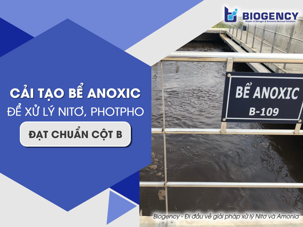 Cải tạo bể Anoxic như thế nào để xử lý Nitơ, Photpho đạt chuẩn Cột B?