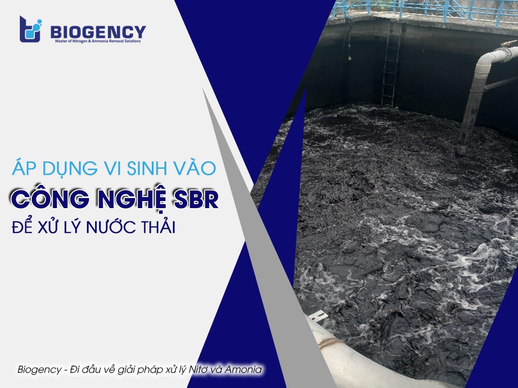 Áp dụng vi sinh vào công nghệ SBR để xử lý nước thải
