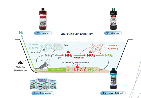 Men vi sinh thuy san Microbe-Lift